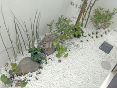 和風坪庭 下草 低木 植栽 景石