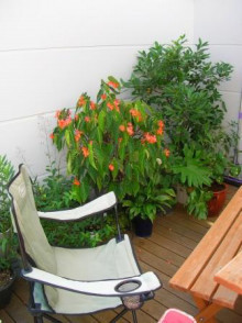 中庭のある家、コートハウスの間取りはメリ...