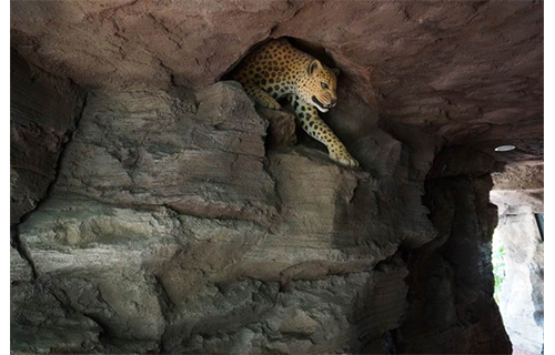 熟練の技が光る!美しい施工実績をご覧くだ...