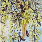 履歴・ワークショップ Vis-à-Vis