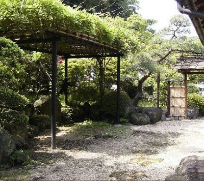 竹の藤棚