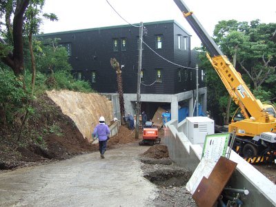 ヤシ植栽作業