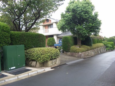 庭木の剪定