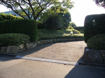 剪定作業