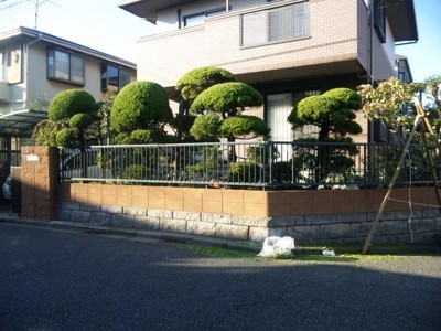 植木の手入れ