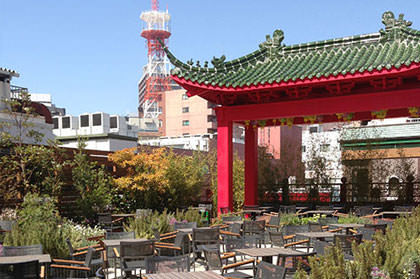 横浜博覧館 ガーデンテラスカフェ