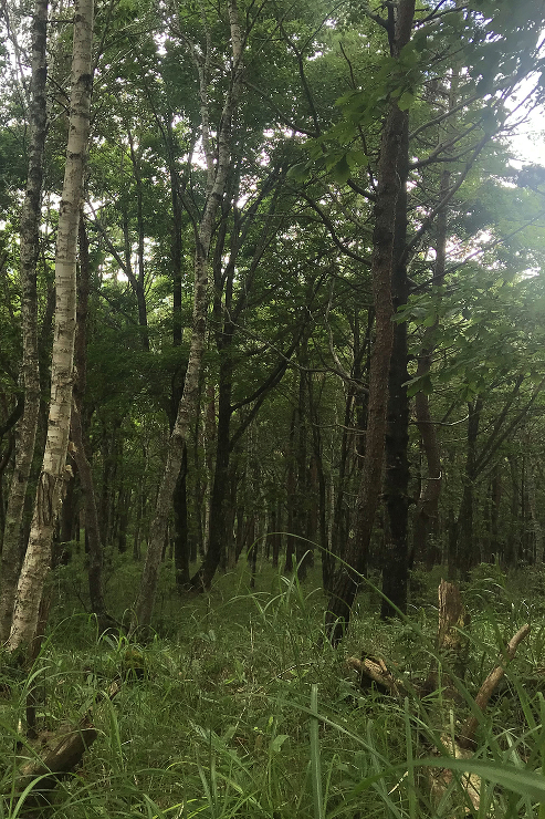 アトリエ・フィッシュ｜建築設計デザイン事...