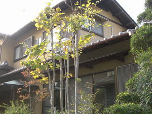 横浜市中区　ガイナ　外壁・屋根塗装　塗替...
