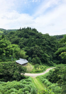 里山の家 水野建築研究所