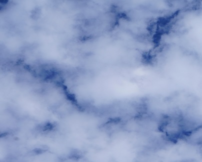 造園・住宅の庭・外構の青山造園