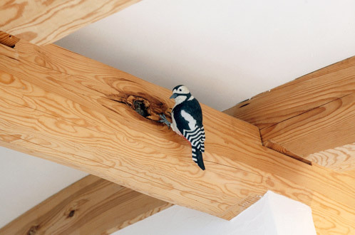 アガケラのバードカービング