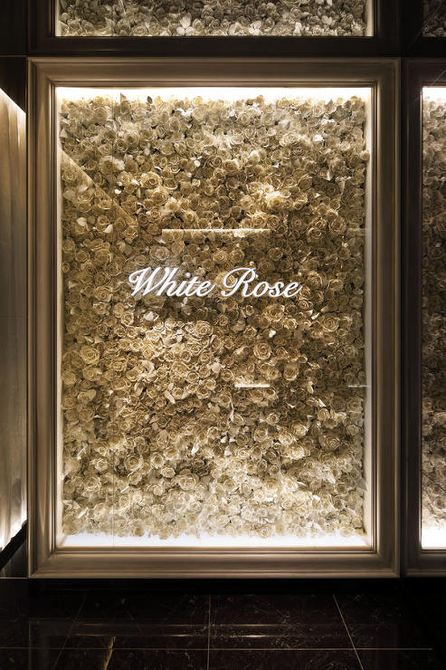 White Rose