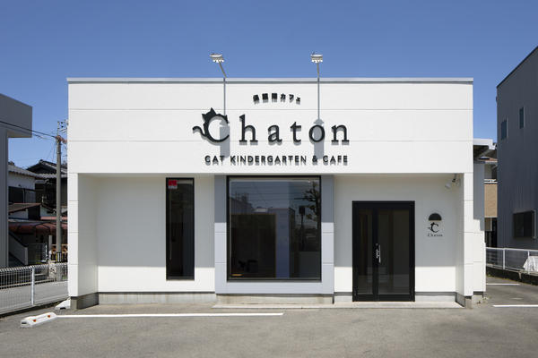 保護猫カフェ　Chaton