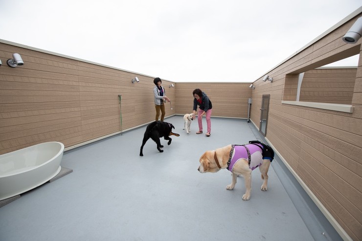 【ペット事例】スロープの家 CUBE