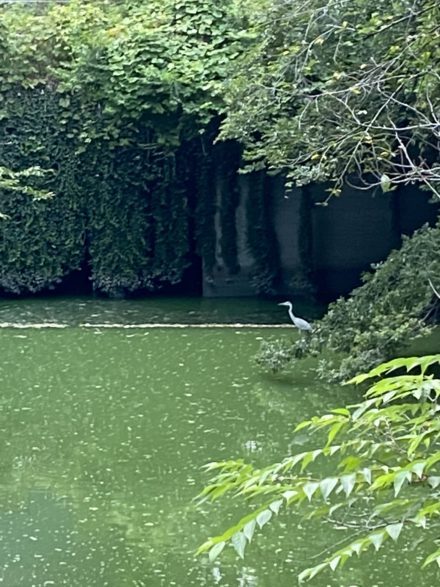 ブログ｜SUDO MIKAMO ARCH...