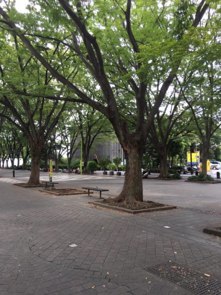 ブログ｜SUDO MIKAMO ARCH...