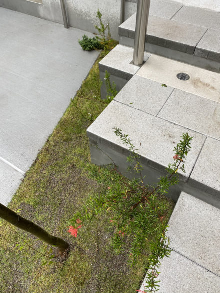 ブログ｜SUDO MIKAMO ARCH...