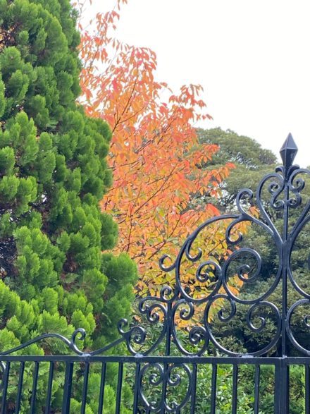 ブログ｜SUDO MIKAMO ARCH...