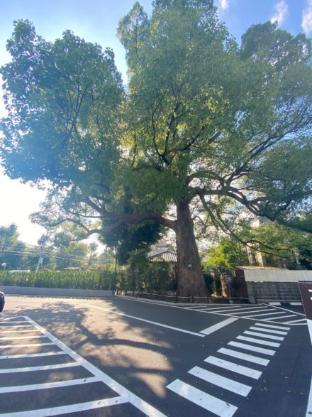 ブログ｜SUDO MIKAMO ARCH...