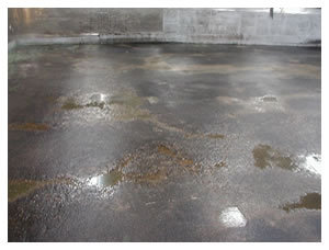 食品工場　全面リニューアル