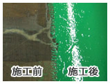 塗装比較