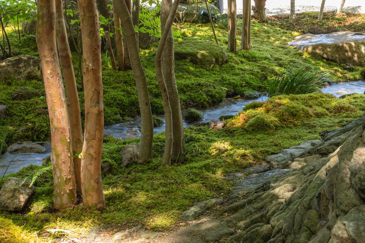 花西海 | 設計機構ワークス｜一級建築士...