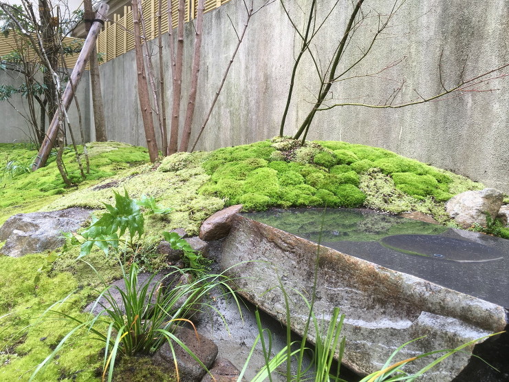 水盤脇から撮影したものです。