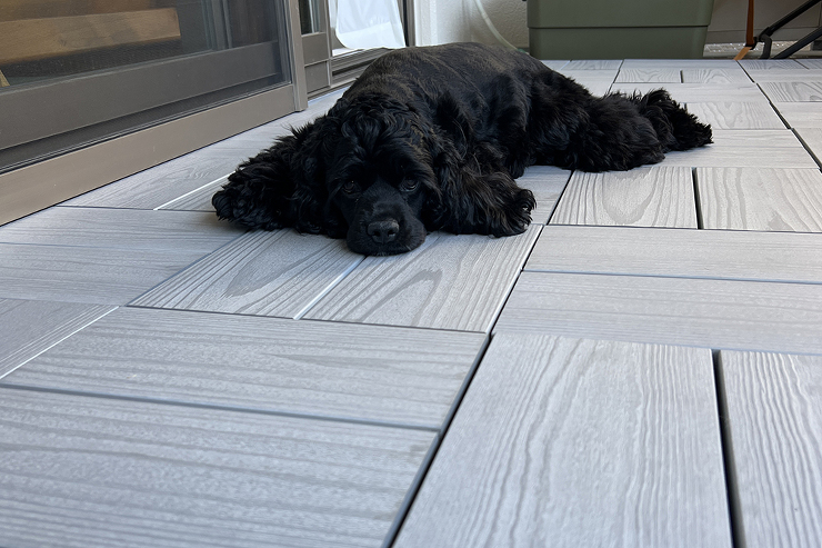 露天風呂やサウナでも使える彩木 | MI...