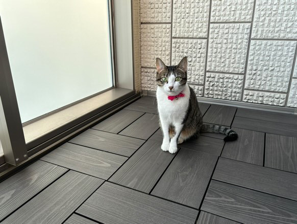 露天風呂やサウナでも使える彩木 | MI...