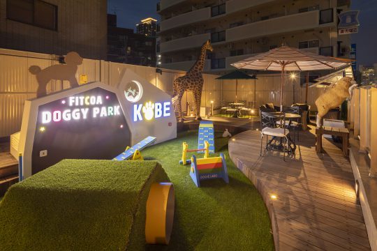 神戸元町の屋上ドッグラン　