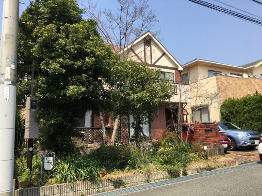 木々に囲まれたガーデンライフ | ひまわ...