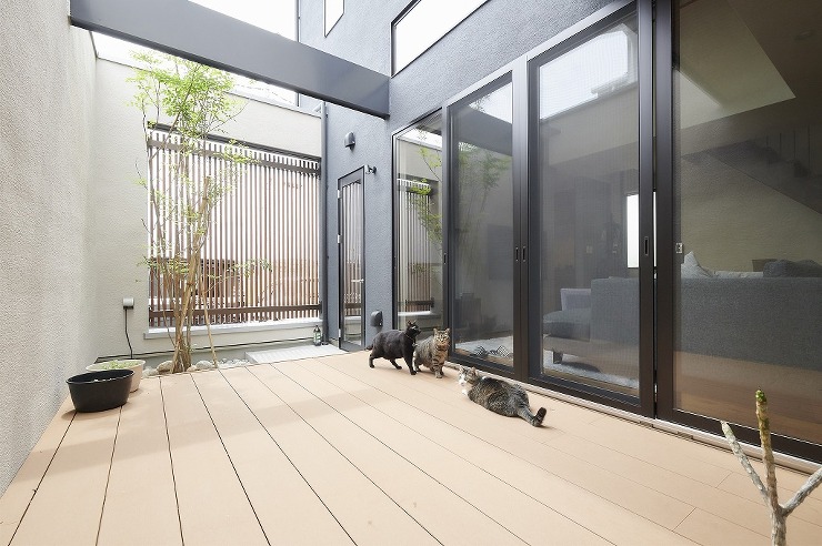 猫と暮らす中庭のある家の画像