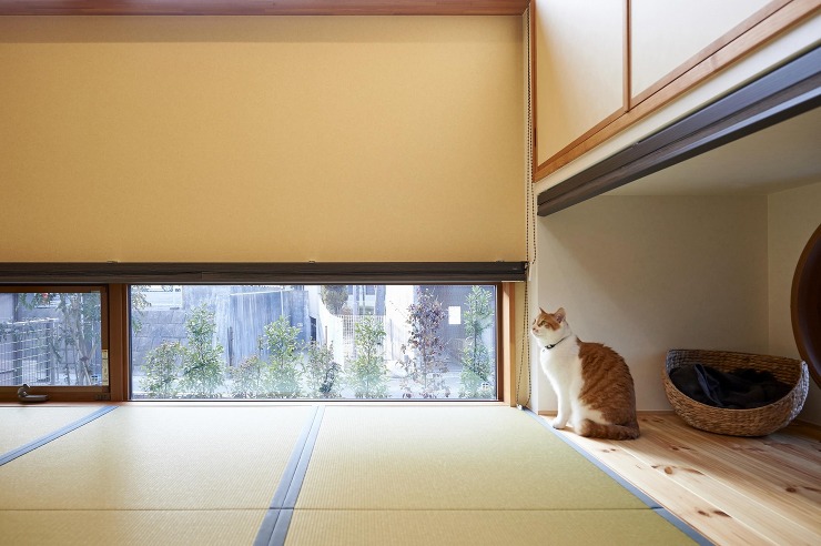 【施工事例】ねこと住まう家 | 注文住宅...