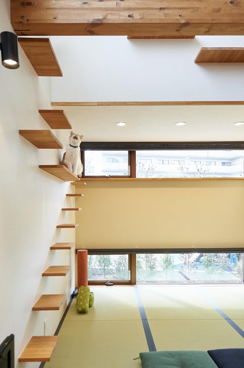 こしかけの画像