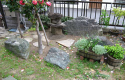 ヴァリアス・ガーデンズの施工例[ガーデン＋リフォームガーデン工事]小田原市鴨宮S様邸お庭リフォーム・リフォームガーデン・Ｒｅガーデン工事着工前写真2