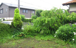 ヴァリアス・ガーデンズの施工例[ガーデン＋リフォームガーデン工事]藤沢市宮原Y様邸お庭・リフォームガーデン工事着工前写真9