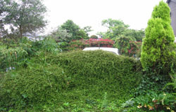 ヴァリアス・ガーデンズの施工例[ガーデン＋リフォームガーデン工事]藤沢市宮原Y様邸お庭・リフォームガーデン工事着工前写真10