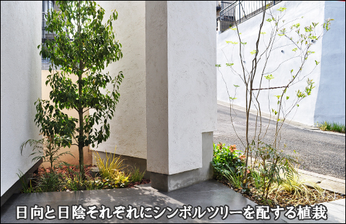 日向と日陰それぞれにシンボルツリーの植栽レイアウトを-港北区K様邸