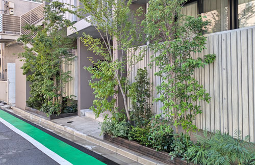 集合住宅のファサードへ、雑木が繁茂するナチュラルな植栽デザインを-世田谷区賃貸物件