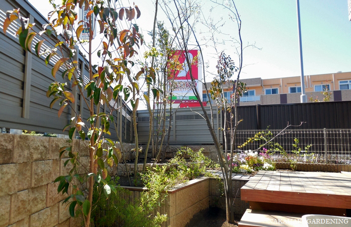 ＞【庭づくりの施工例】 - 杉並区・武蔵...