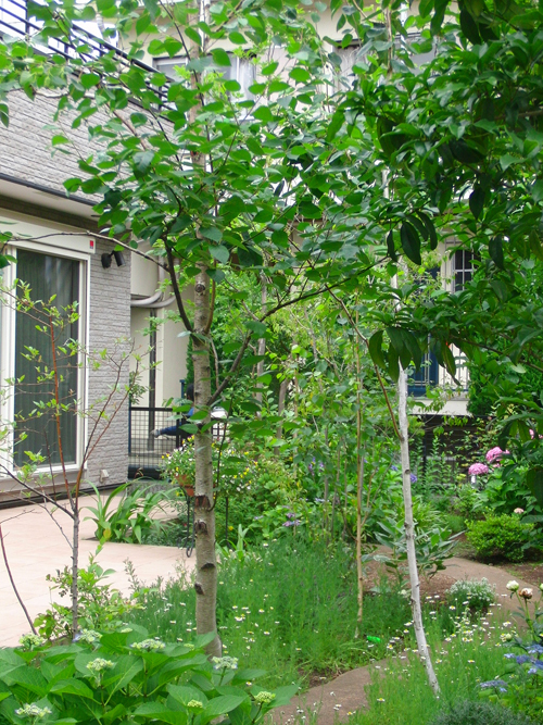 ＞【庭づくりの施工例】 - 杉並区・武蔵...