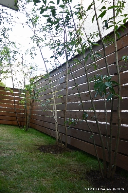 ＞【リガーデンの施工事例】 - 杉並区・...