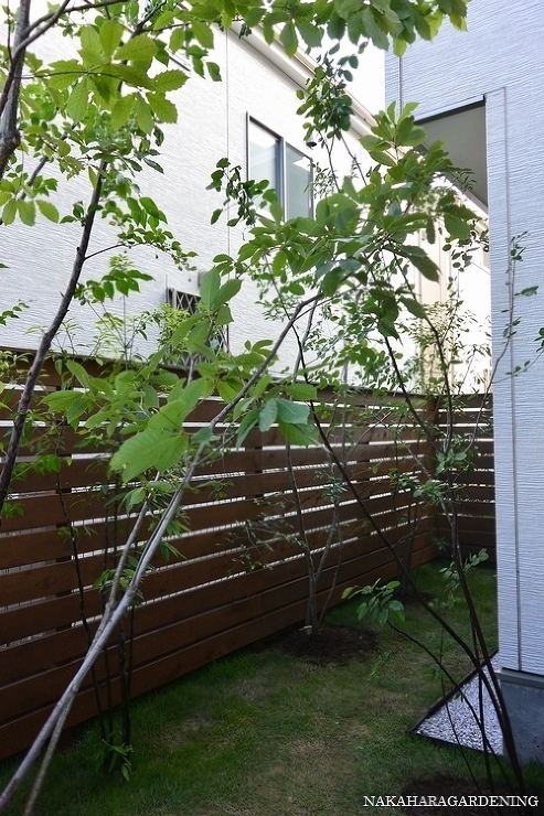 ＞【リガーデンの施工事例】 - 杉並区・...