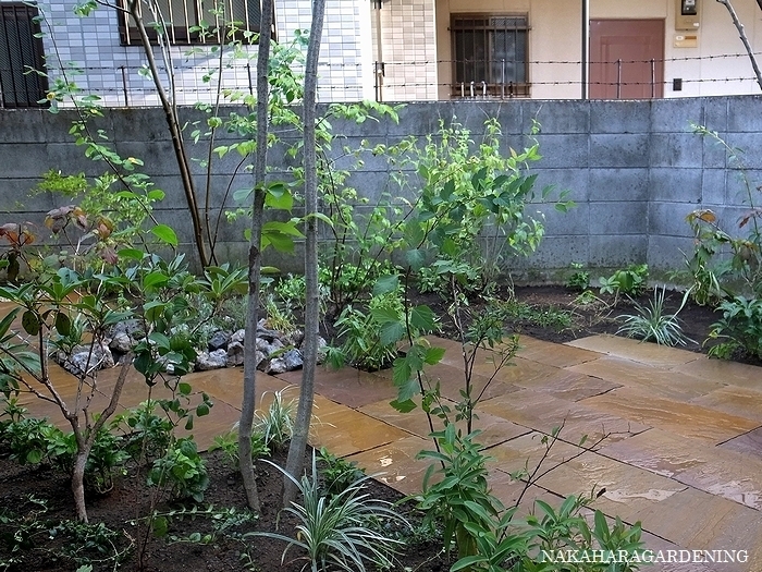 ＞【リガーデンの施工事例】 - 杉並区・...