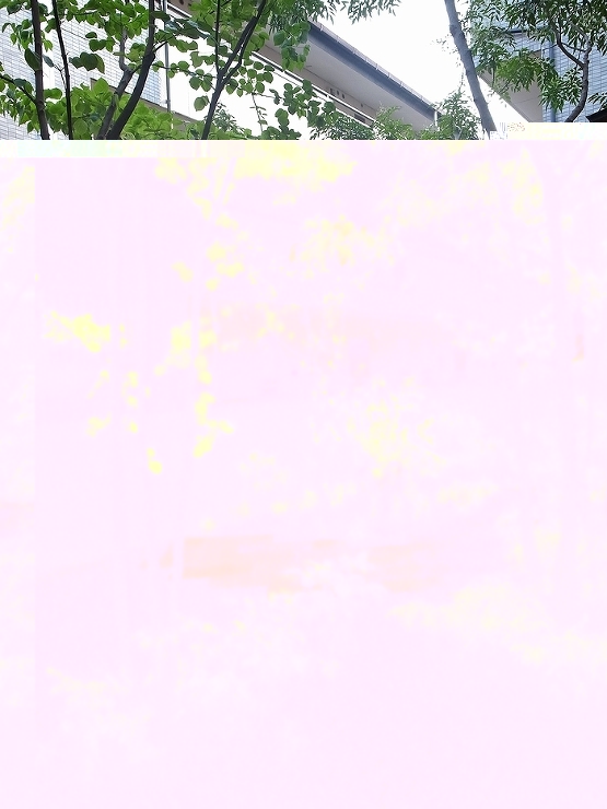 ＞【リガーデンの施工事例】 - 杉並区・...