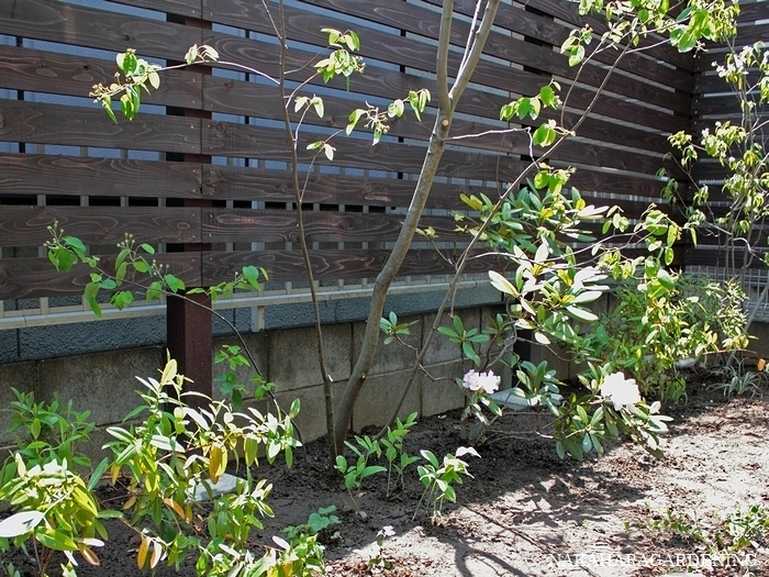 ＞【リガーデンの施工事例】 - 杉並区・...