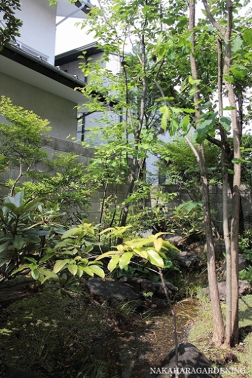 ＞【リガーデンの施工事例】 - 杉並区・...