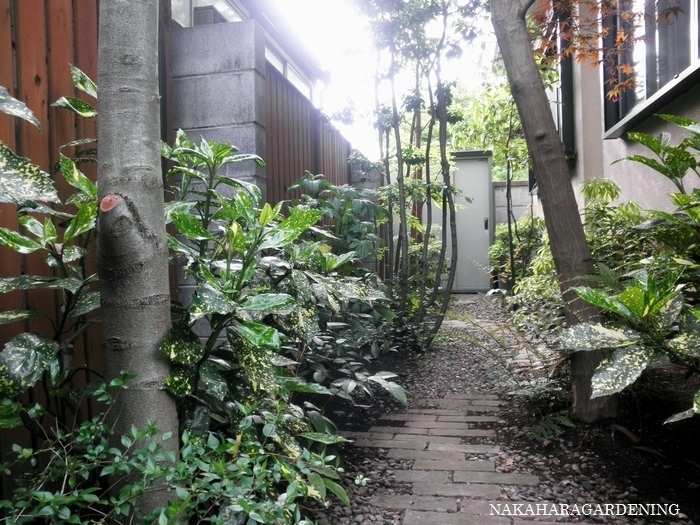 ＞【リガーデンの施工事例】 - 杉並区・...