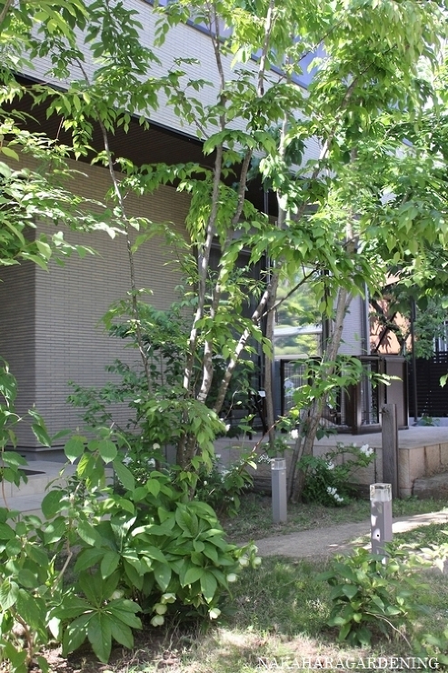 ＞【庭づくりの施工例】 - 杉並区・武蔵...