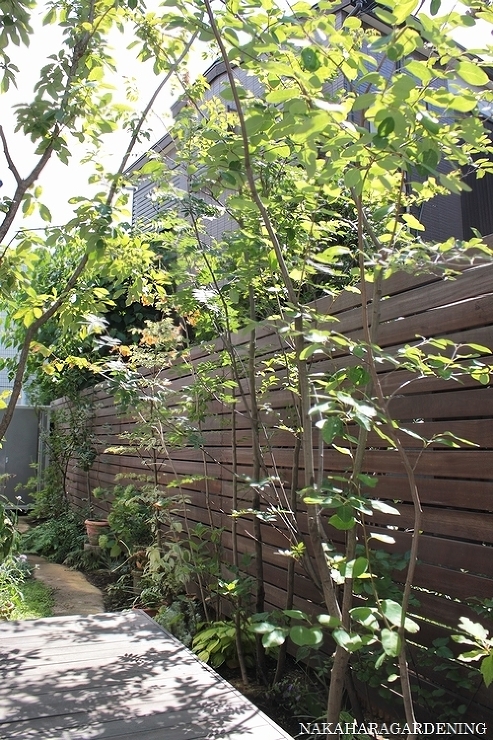 ＞【庭づくりの施工例】 - 杉並区・武蔵...